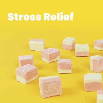 All Too Good Freeze-Dried Treats Chic w/Cranberry & Catnip Stress Relief 100g